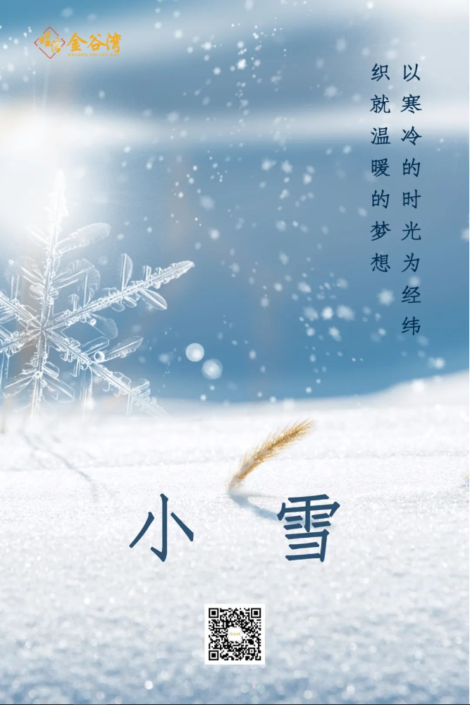 小雪官网图.PNG