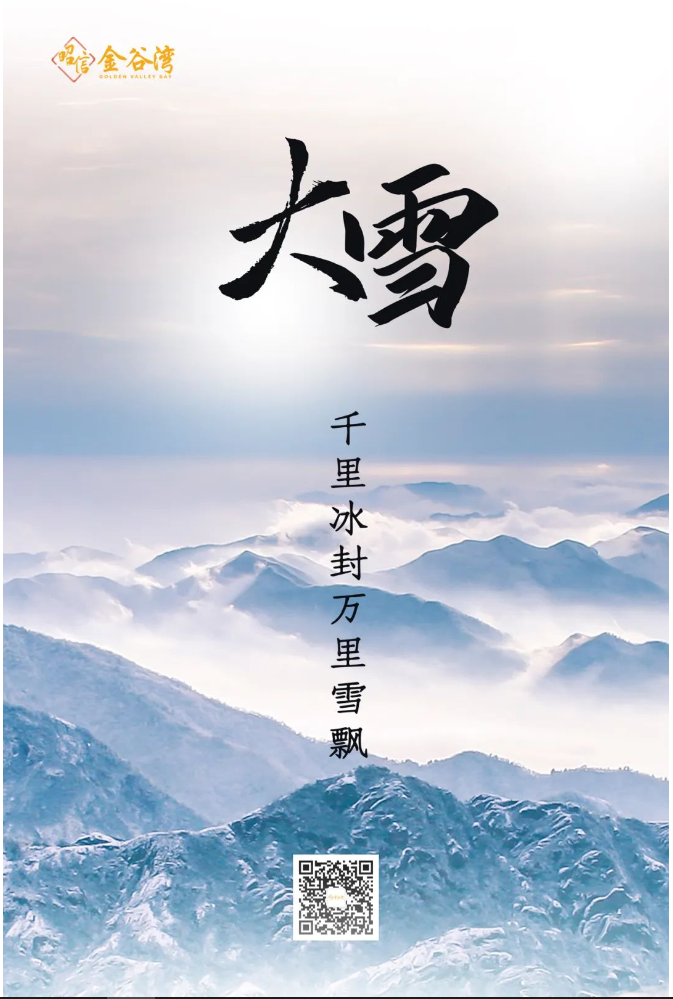 大雪官网.PNG