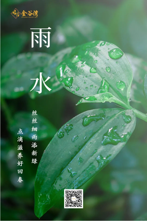 雨水官网01.PNG
